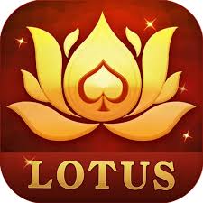 teen patti lisora download
